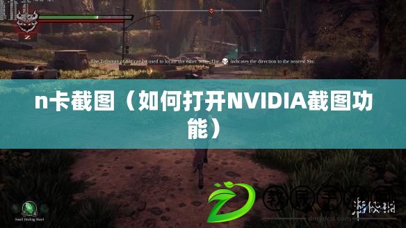 n卡截圖（如何打開NVIDIA截圖功能）