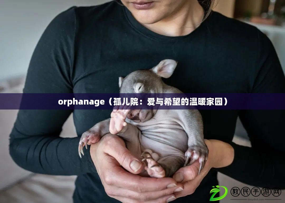 orphanage（孤兒院：愛與希望的溫暖家園）