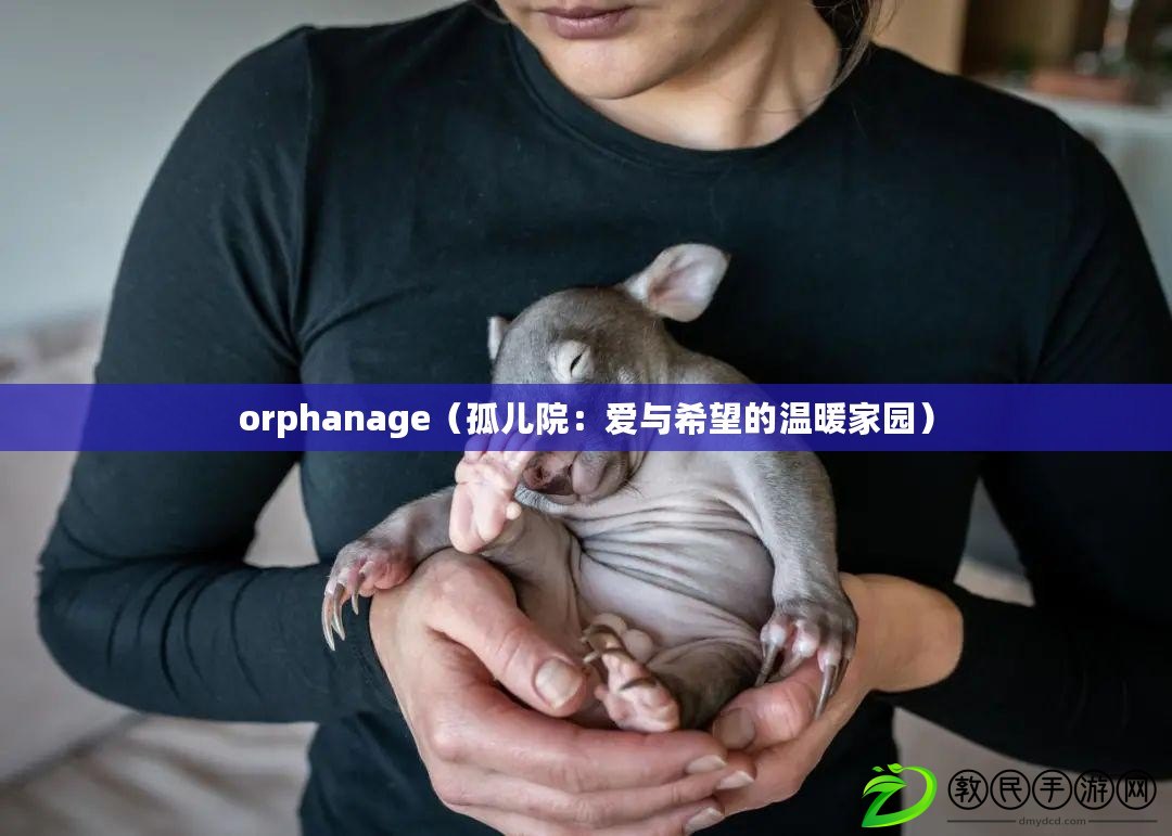 orphanage（孤兒院：愛與希望的溫暖家園）