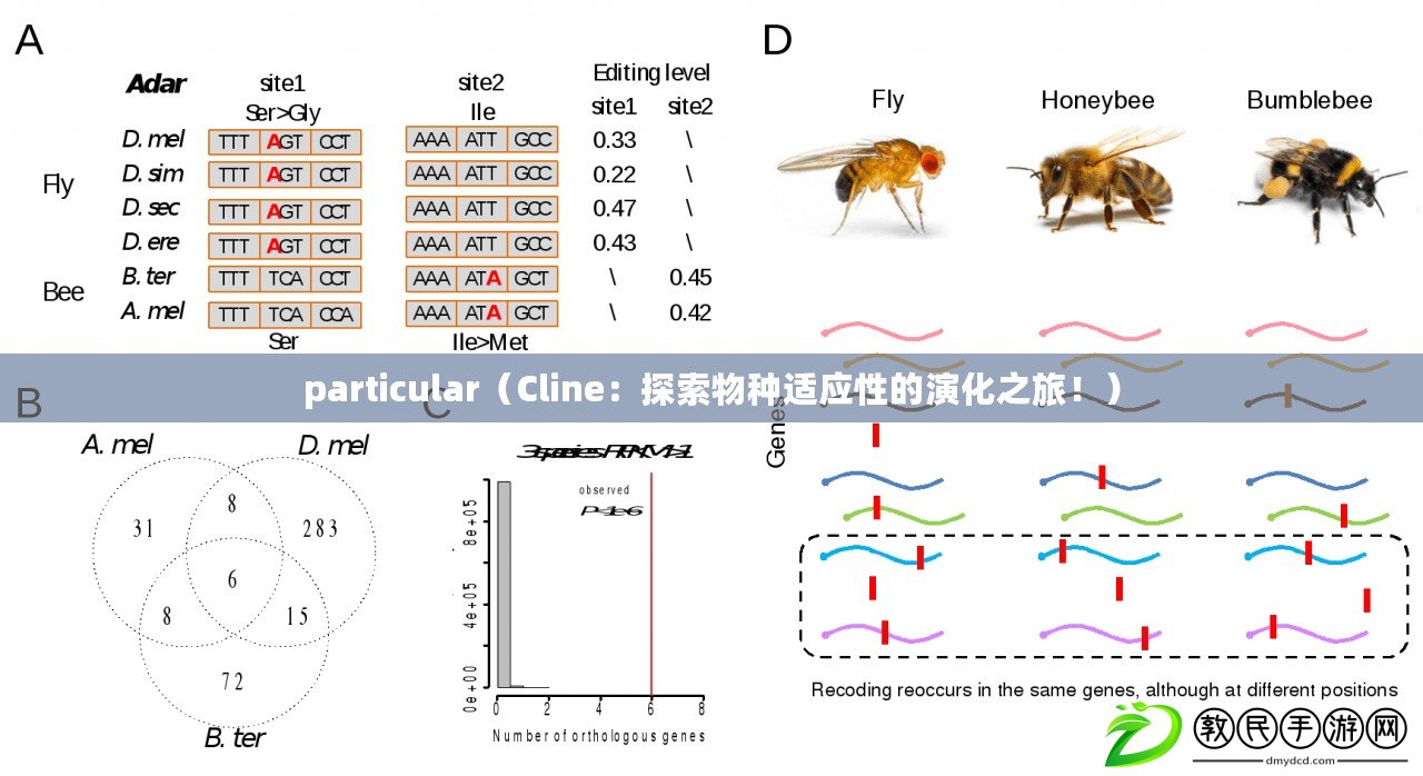 particular（Cline：探索物種適應(yīng)性的演化之旅?。? title=