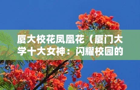 廈大校花鳳凰花（廈門大學(xué)十大女神：閃耀校園的美麗風(fēng)景線）