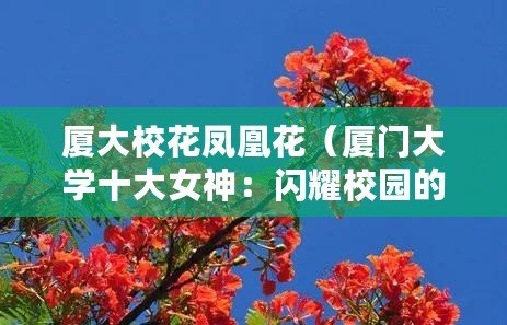 廈大校花鳳凰花（廈門(mén)大學(xué)十大女神：閃耀校園的美麗風(fēng)景線）