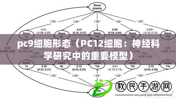 pc9細(xì)胞形態(tài)（PC12細(xì)胞：神經(jīng)科學(xué)研究中的重要模型）