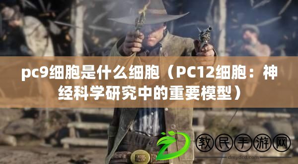 pc9細(xì)胞是什么細(xì)胞（PC12細(xì)胞：神經(jīng)科學(xué)研究中的重要模型）