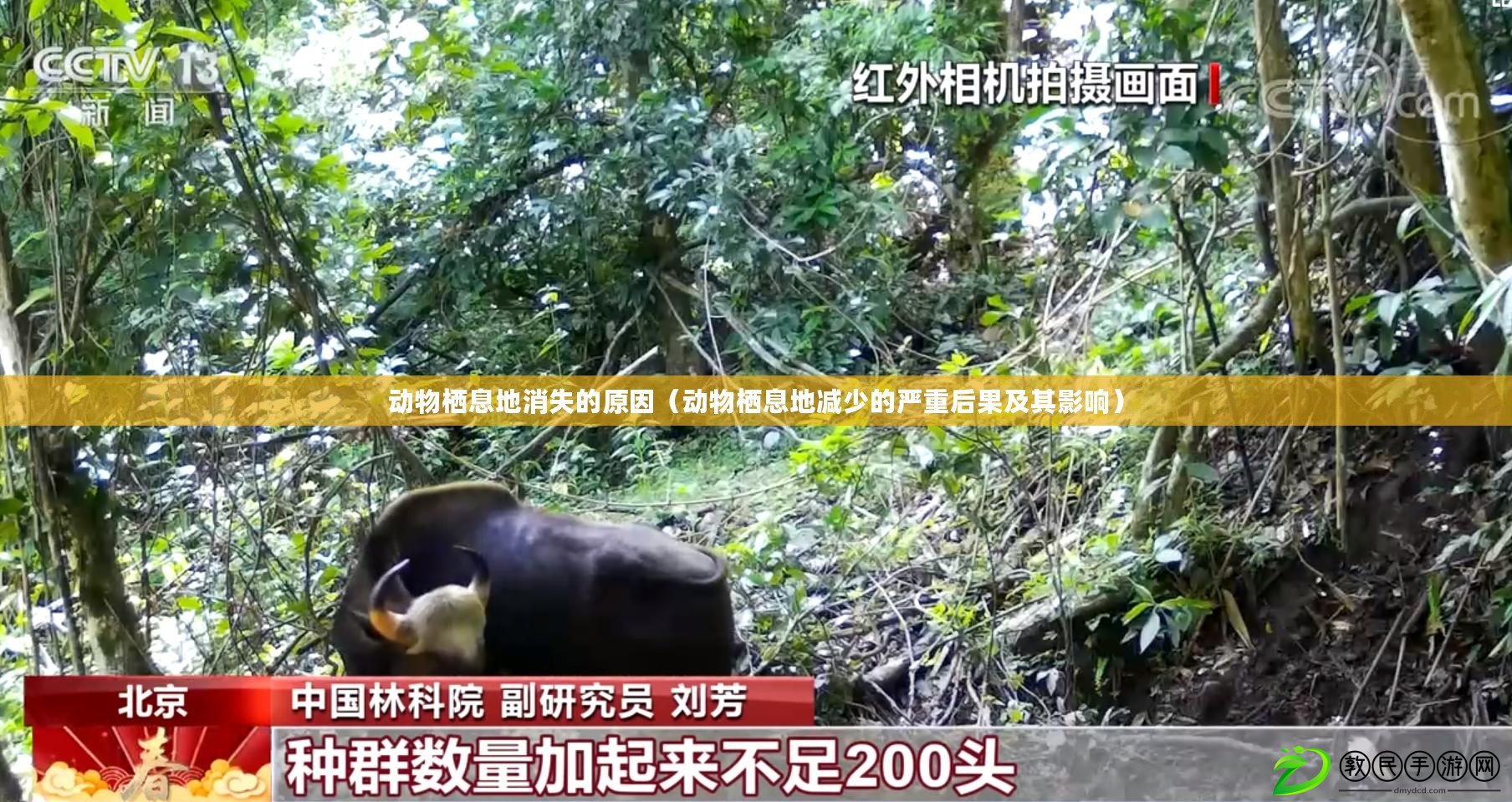 動物棲息地消失的原因（動物棲息地減少的嚴重后果及其影響）