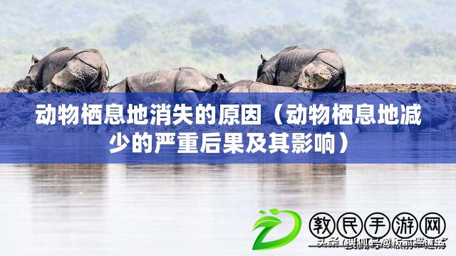 動物棲息地消失的原因（動物棲息地減少的嚴(yán)重后果及其影響）