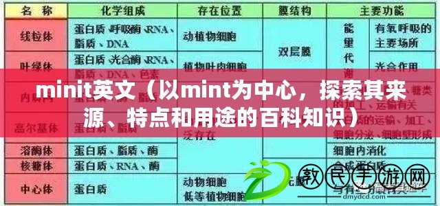 minit英文（以mint為中心，探索其來源、特點和用途的百科知識）