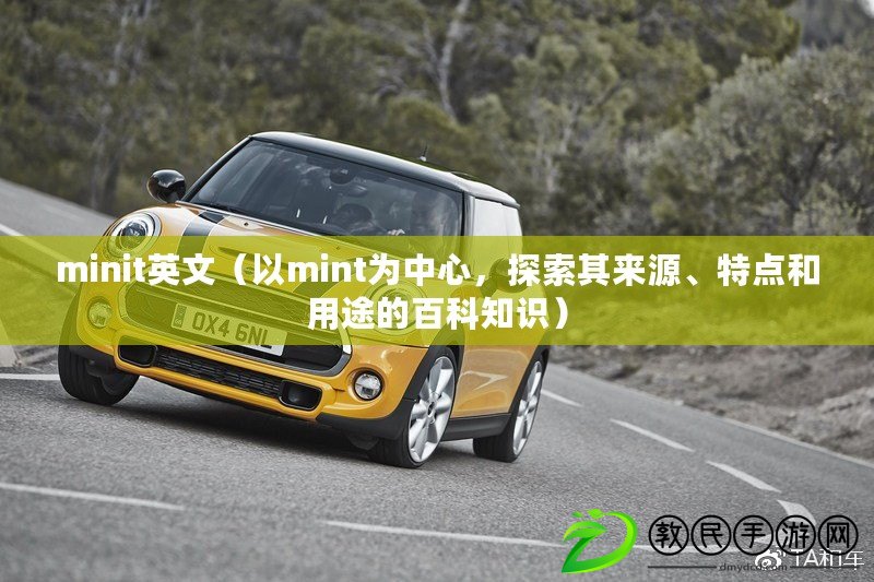 minit英文（以mint為中心，探索其來源、特點和用途的百科知識）