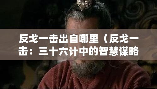 反戈一擊出自哪里（反戈一擊：三十六計(jì)中的智慧謀略之一）