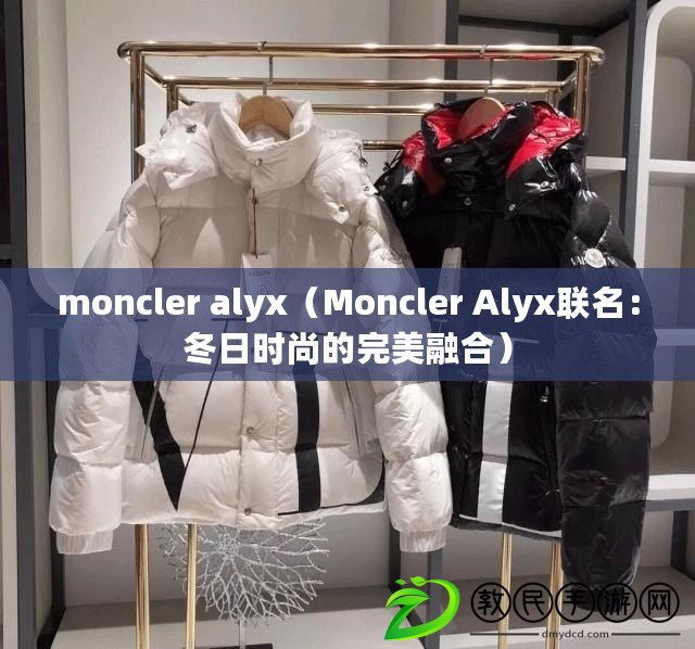 moncler alyx（Moncler Alyx聯(lián)名：冬日時尚的完美融合）