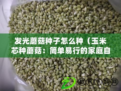 發(fā)光蘑菇種子怎么種（玉米芯種蘑菇：簡單易行的家庭自種方法）