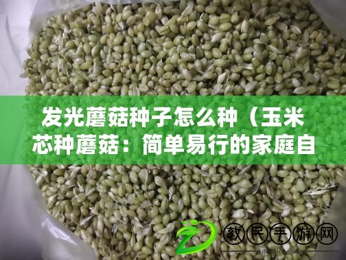 發(fā)光蘑菇種子怎么種（玉米芯種蘑菇：簡單易行的家庭自種方法）