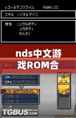 nds中文游戲ROM合集（nds中文游戲rom合集大全）