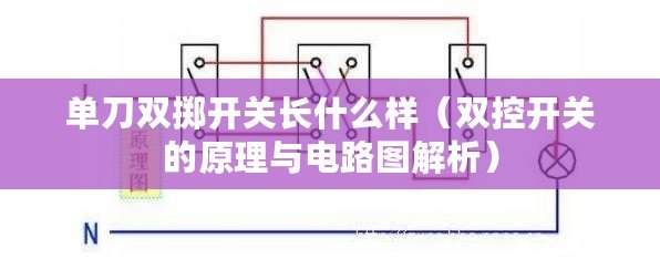 單刀雙擲開關長什么樣（雙控開關的原理與電路圖解析）