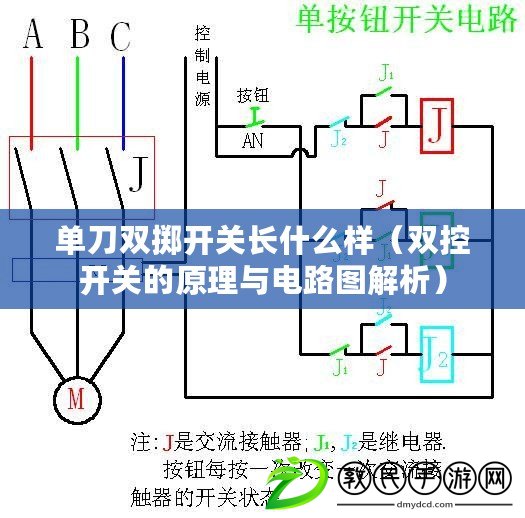 單刀雙擲開關長什么樣（雙控開關的原理與電路圖解析）