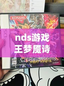 nds游戲王夢魘詩人（游戲王噩夢的吟游詩人：迷幻之旅）