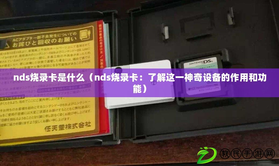 nds燒錄卡是什么（nds燒錄卡：了解這一神奇設備的作用和功能）