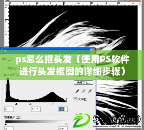 ps怎么摳頭發(fā)（使用PS軟件進行頭發(fā)摳圖的詳細步驟）