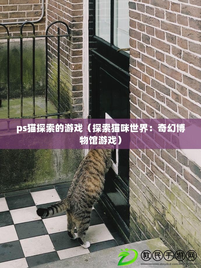 ps貓?zhí)剿鞯挠螒颍ㄌ剿髫堖涫澜纾浩婊貌┪镳^游戲）