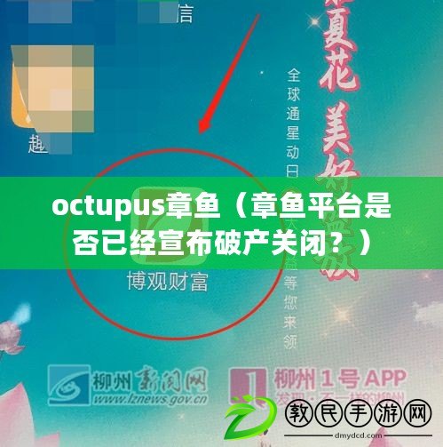 octupus章魚（章魚平臺(tái)是否已經(jīng)宣布破產(chǎn)關(guān)閉？）