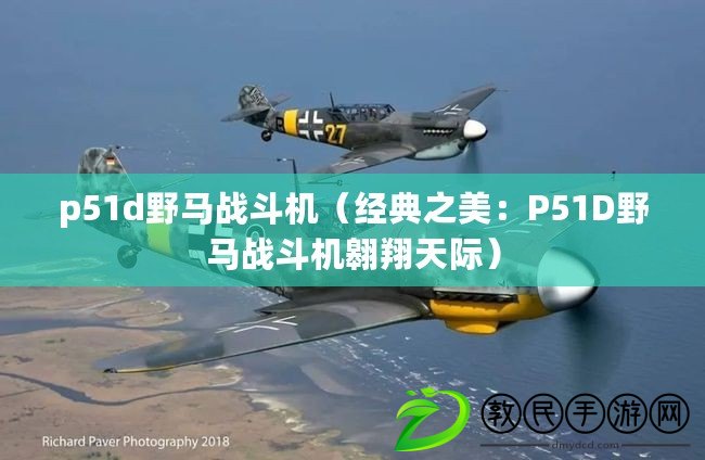 p51d野馬戰(zhàn)斗機(jī)（經(jīng)典之美：P51D野馬戰(zhàn)斗機(jī)翱翔天際）