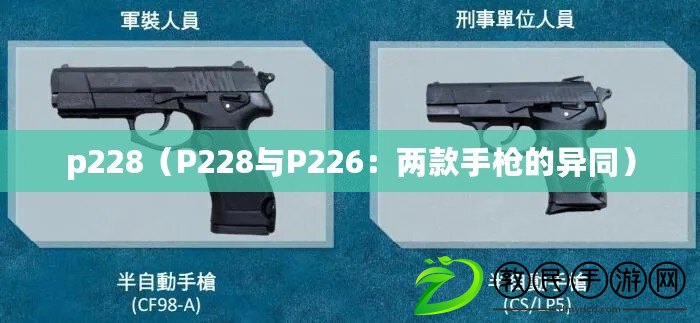 p228（P228與P226：兩款手槍的異同）