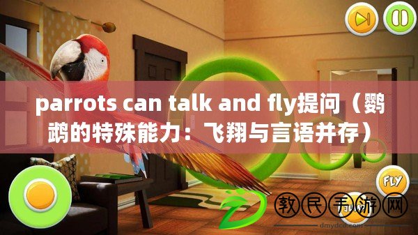 parrots can talk and fly提問(wèn)（鸚鵡的特殊能力：飛翔與言語(yǔ)并存）