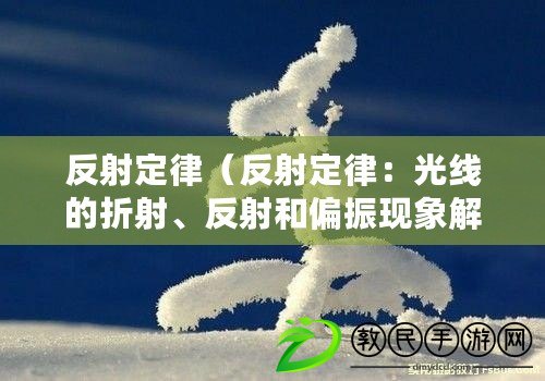 反射定律（反射定律：光線的折射、反射和偏振現象解析）