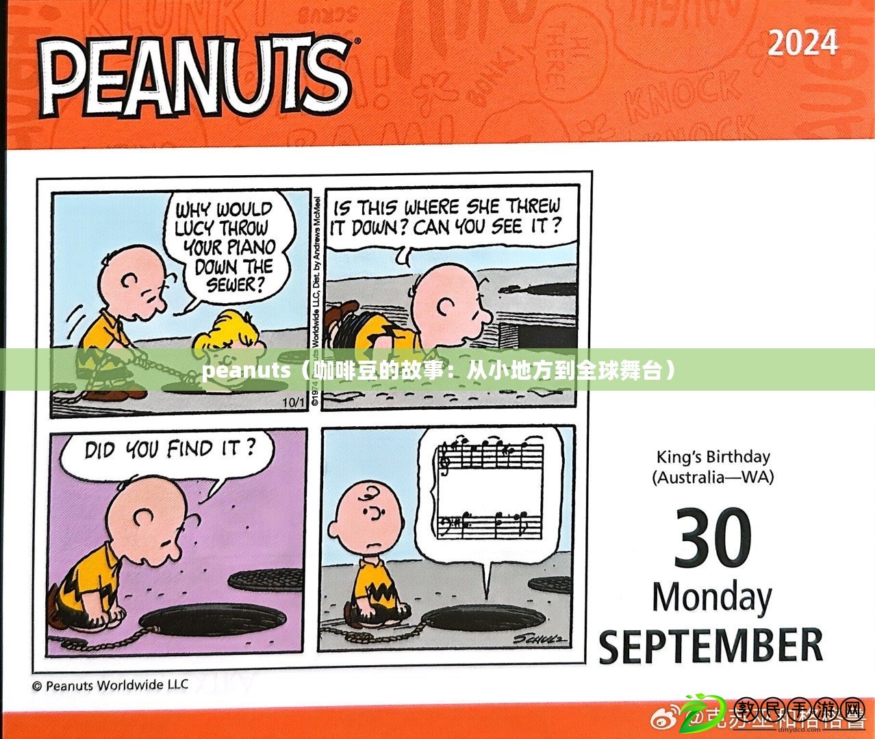 peanuts（咖啡豆的故事：從小地方到全球舞臺(tái)）