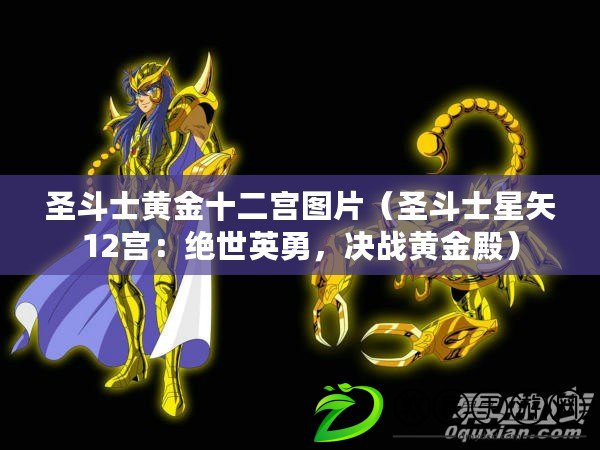 圣斗士黃金十二宮圖片（圣斗士星矢12宮：絕世英勇，決戰(zhàn)黃金殿）