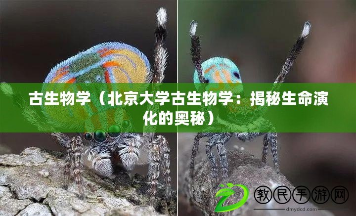 古生物學(xué)（北京大學(xué)古生物學(xué)：揭秘生命演化的奧秘）