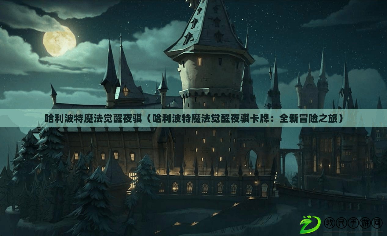 哈利波特魔法覺醒夜騏（哈利波特魔法覺醒夜騏卡牌：全新冒險之旅）