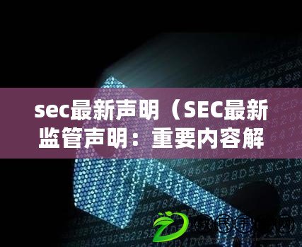 sec最新聲明（SEC最新監(jiān)管聲明：重要內容解讀與分析）