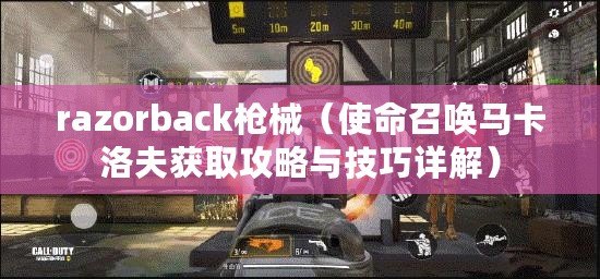 razorback槍械（使命召喚馬卡洛夫獲取攻略與技巧詳解）