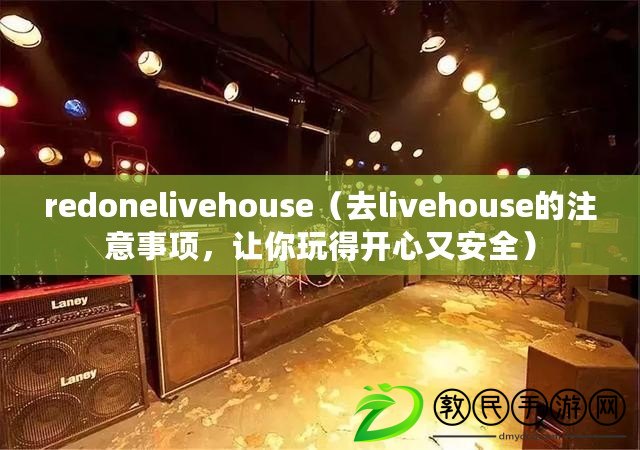 redonelivehouse（去livehouse的注意事項，讓你玩得開心又安全）