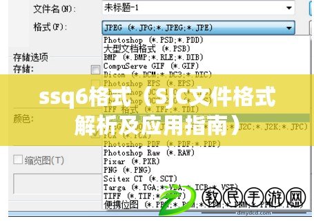 ssq6格式（SJC文件格式解析及應(yīng)用指南）