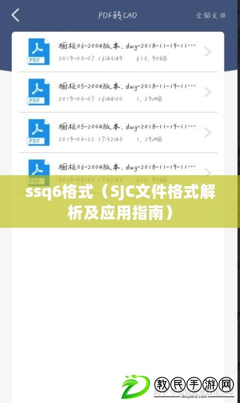 ssq6格式（SJC文件格式解析及應(yīng)用指南）
