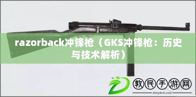 razorback沖鋒槍（GKS沖鋒槍：歷史與技術(shù)解析）