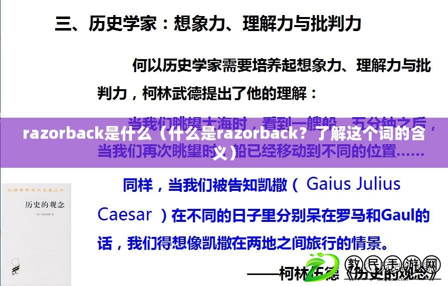 razorback是什么（什么是razorback？了解這個詞的含義）