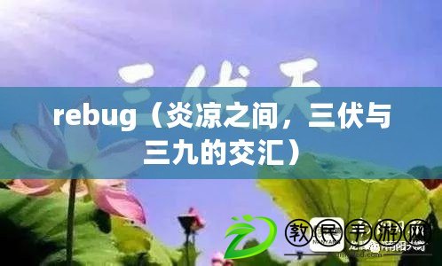 rebug（炎涼之間，三伏與三九的交匯）