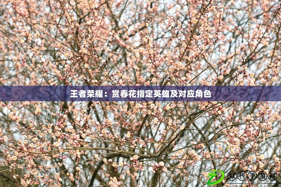 王者榮耀：賞春花指定英雄及對應(yīng)角色