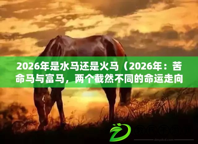 2026年是水馬還是火馬（2026年：苦命馬與富馬，兩個截然不同的命運走向）