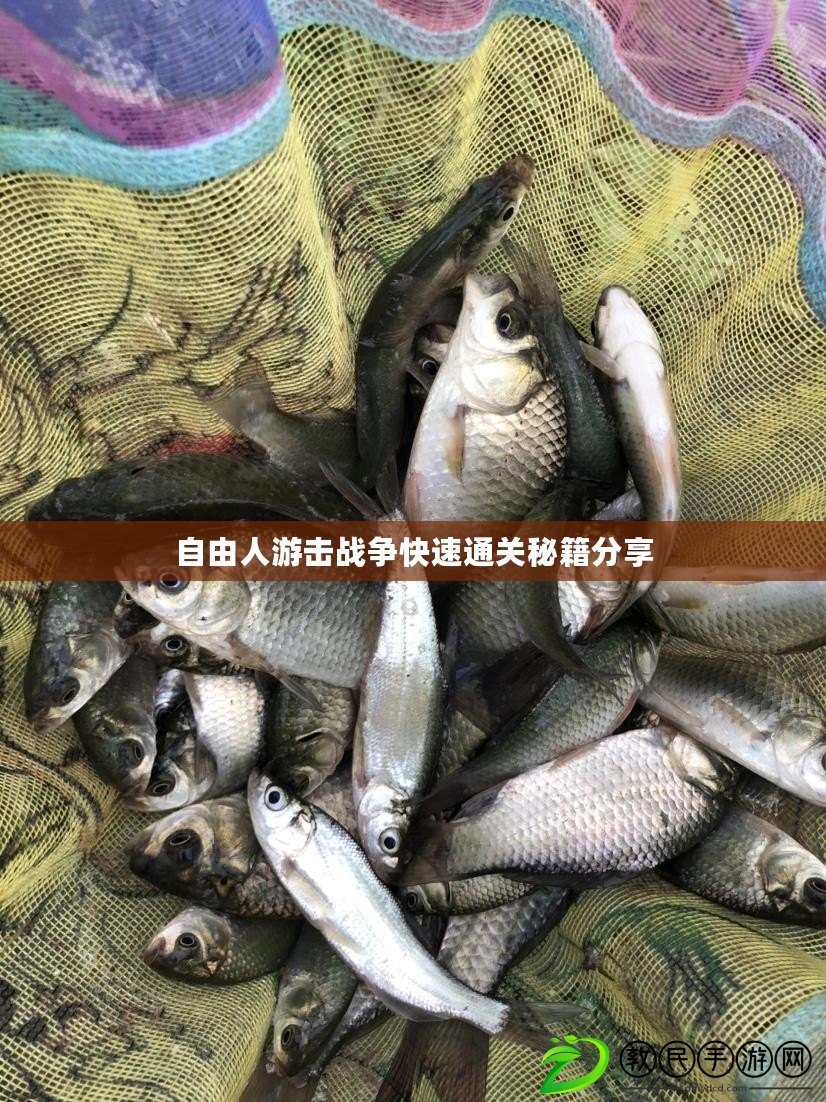 自由人游擊戰(zhàn)爭快速通關秘籍分享