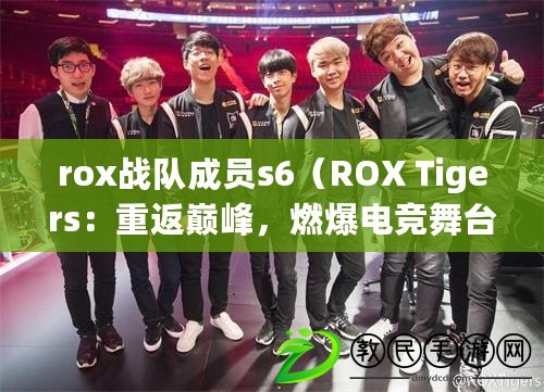 rox戰(zhàn)隊成員s6（ROX Tigers：重返巔峰，燃爆電競舞臺?。? title=