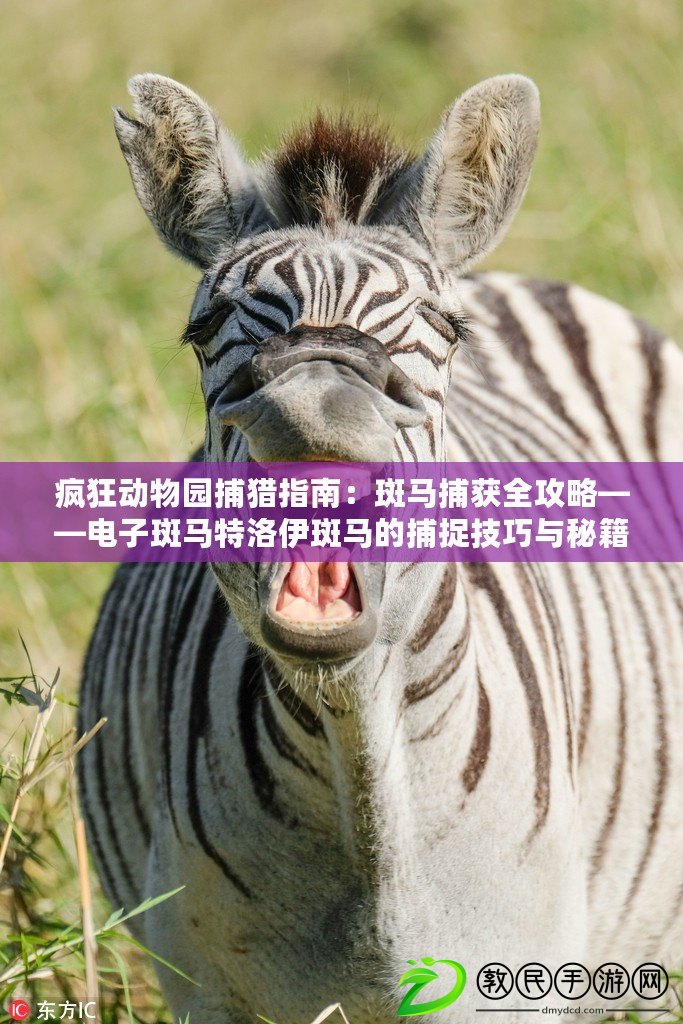 瘋狂動(dòng)物園捕獵指南：斑馬捕獲全攻略——電子斑馬特洛伊斑馬的捕捉技巧與秘籍