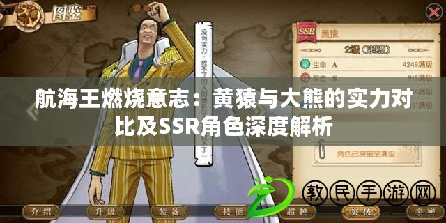 航海王燃燒意志：黃猿與大熊的實力對比及SSR角色深度解析