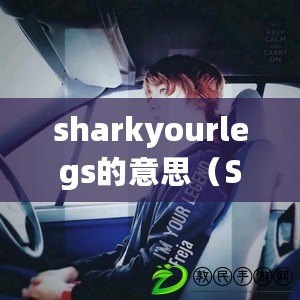 sharkyourlegs的意思（Shark Your Legs：探討海洋生物與人類關(guān)系）