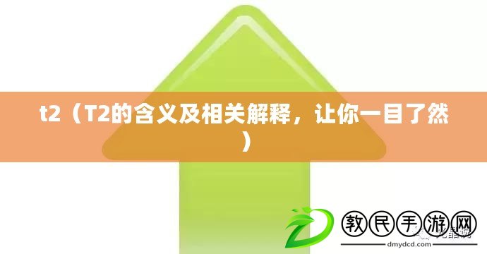 t2（T2的含義及相關解釋，讓你一目了然）