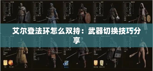 艾爾登法環(huán)怎么雙持：武器切換技巧分享