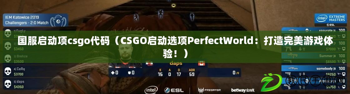 國服啟動項csgo代碼（CSGO啟動選項PerfectWorld：打造完美游戲體驗！）